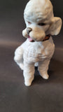 Kaiser bisque porcelain sculpture - dog - poodle