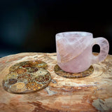 Natural Ammonite Fossil Coaster | Genuine Fossil in Resin | Madagascar