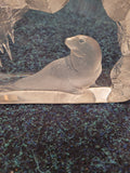 Paperweight - Mats Jonasson reverse etched seal lead crystal paperweight