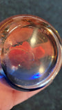 Paperweight -Caithness 4 planet set  (1996)