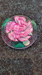 Paperweight- Caithness Pride and beauty (2003)