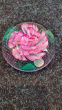 Paperweight- Caithness Pride and beauty (2003)