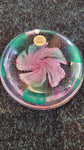 Paperweight- Caithness Pride and beauty (2003)