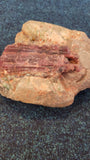 A stunning Watermelon Tourmaline raw crystal