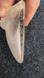 Mats Jonasson Swedish lead crystal paperweight - Seal pup