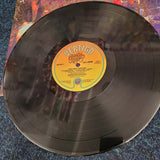 Electric Boys Funk-O-Metal Carpet Ride LP Vinyl 1990 Vertigo 846 056-1 Original Rock Album