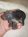 Natural Banded Agate Carved Bear Statue 262g Grey Agate Animal Crystal Figurine