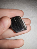 3g Natural Jet Stone Specimen Raw Organic Fossil Wood Gemstone Piece