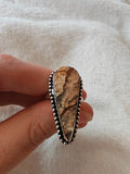 Picture Jasper Adjustable Ring 🤎 - Ring #45