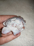 🐢✨ Flower Agate Turtle Carving ✨🐢