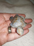 🐢✨ Ocean Jasper Turtle Carving ✨🐢