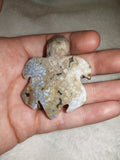 🐢✨ Ocean Jasper Turtle Carving ✨🐢