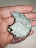 🌙 Green Moss Agate Moon Face Carving - 50g approx