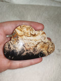 ☁️✨ Agatized Petrified Wood/ Palm Root Cloud ✨☁️