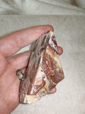 Crazy Lace Agate freeform/ triangle