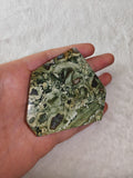 🌿✨ Rainforest Rhyolite Freeform Slice - 65g ✨🌿