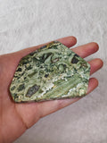 🌿✨ Rainforest Rhyolite Freeform Slice - 65g ✨🌿