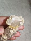✨ Quartz & Muscovite Mica Specimen - 50g ✨