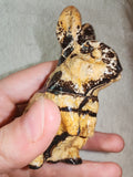 🐰✨ Picture Jasper Rabbit Carving - 150g