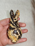 🐰✨ Picture Jasper Rabbit Carving - 150g