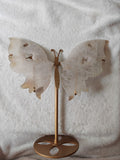 🦋✨ Beautiful Pink Butterfly Wing Display with Stand ✨🦋