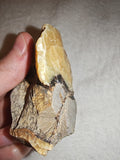 Raw Septarian Rough Specimen #1 - 143g