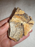 Raw Septarian Rough Specimen #1 - 143g