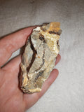 Raw Septarian Rough Specimen #1 - 143g