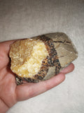 Raw Septarian Crystal Rough 143g Natural Calcite Aragonite Healing Stone Mineral Specimen - #2
