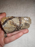 Raw Septarian Crystal Rough 143g Natural Calcite Aragonite Healing Stone Mineral Specimen - #2