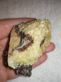Raw Septarian Crystal Rough 91g Natural Calcite Aragonite Healing Stone Mineral Specimen - #3