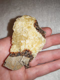 Raw Septarian Crystal Rough 91g Natural Calcite Aragonite Healing Stone Mineral Specimen - #3