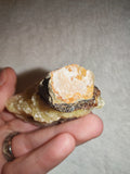 Raw Septarian Crystal Rough 91g Natural Calcite Aragonite Healing Stone Mineral Specimen - #3