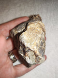 Raw Septarian Crystal Rough 142g Natural Calcite Aragonite Healing Stone Mineral Specimen - #4