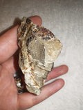 Raw Septarian Crystal Rough 142g Natural Calcite Aragonite Healing Stone Mineral Specimen - #4