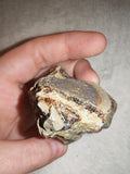 Raw Septarian Crystal Rough 142g Natural Calcite Aragonite Healing Stone Mineral Specimen - #4