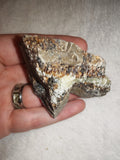Raw Septarian Crystal Rough 95g Natural Calcite Aragonite Healing Stone Mineral Specimen - #5