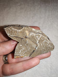 Raw Septarian Crystal Rough 95g Natural Calcite Aragonite Healing Stone Mineral Specimen - #5