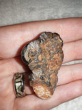 Botryoidal Hematite Mineral Specimen - Metallic "Grape" Formation - 23g