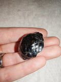 Botryoidal Hematite "Kidney Ore" Mineral Specimen - High Lustre - 22g
