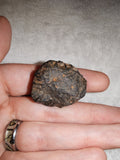 Botryoidal Hematite "Kidney Ore" Mineral Specimen - High Lustre - 22g