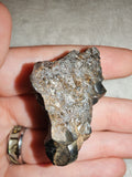 Premium Botryoidal Hematite Mineral Specimen - Metallic "Kidney Ore" Formation - 44g