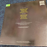 Electric Boys Funk-O-Metal Carpet Ride LP Vinyl 1990 Vertigo 846 056-1 Original Rock Album