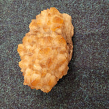 Natural Raw Honey Quartz Crystal Cluster with Dark Inclusions | 2.35kg Display Specimen