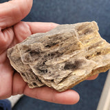 Natural Biotite (Black Mica) Crystal Specimen – Colorado, USA
