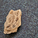 Natural Biotite (Black Mica) Crystal Specimen – Colorado, USA