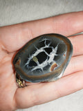 Natural Septarian Half Nodule #1 | Dragon Egg | Polished Calcite Display Stone | 37g
