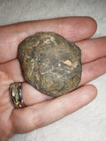 Natural Septarian Half Nodule #1 | Dragon Egg | Polished Calcite Display Stone | 37g