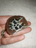 Natural Septarian Half Nodule #2 | Dragon Egg | Polished Calcite Display Stone | 37g
