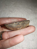 Natural Septarian Half Nodule #2 | Dragon Egg | Polished Calcite Display Stone | 37g